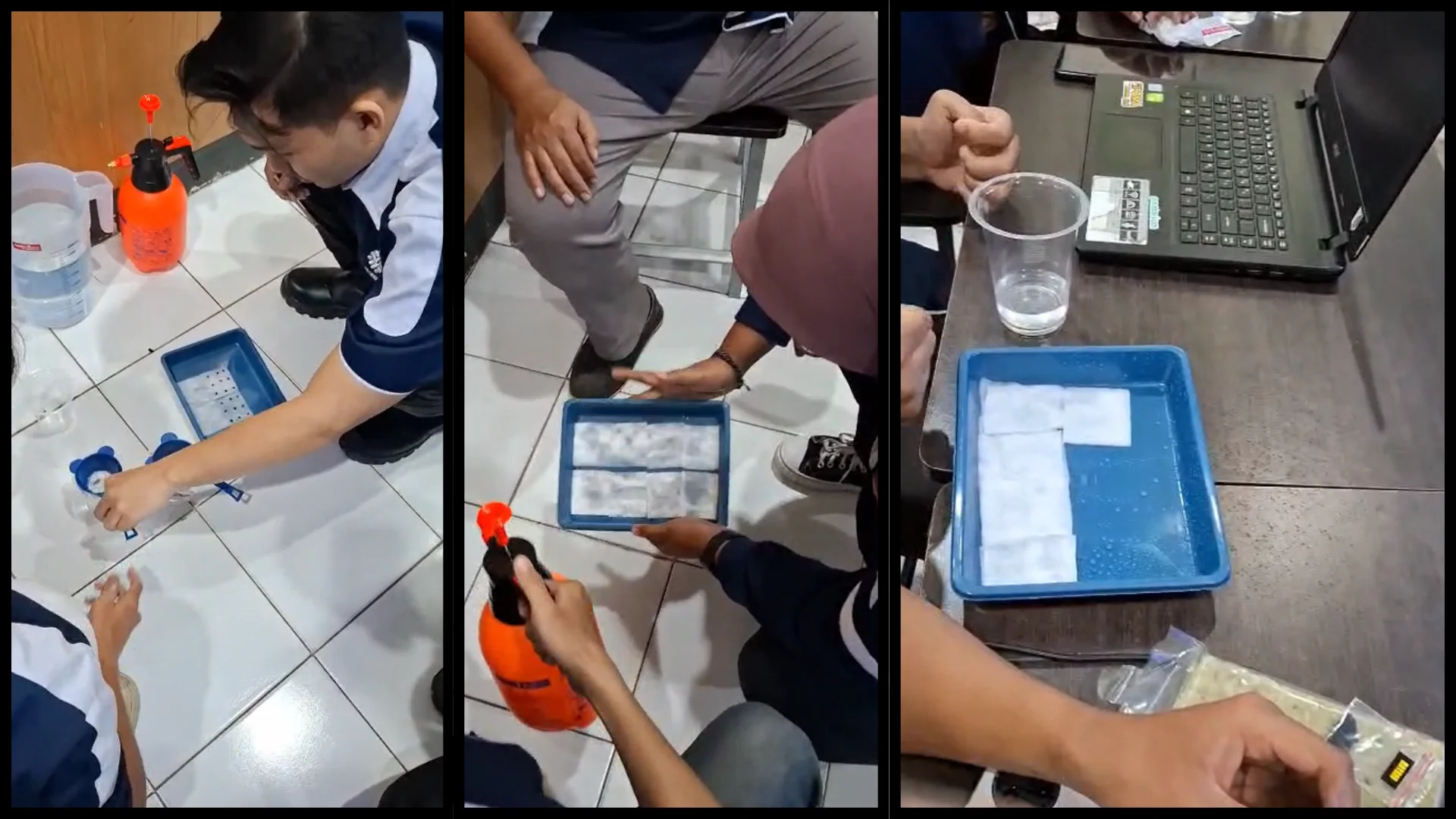 Penyemaian Bibit Hidroponik