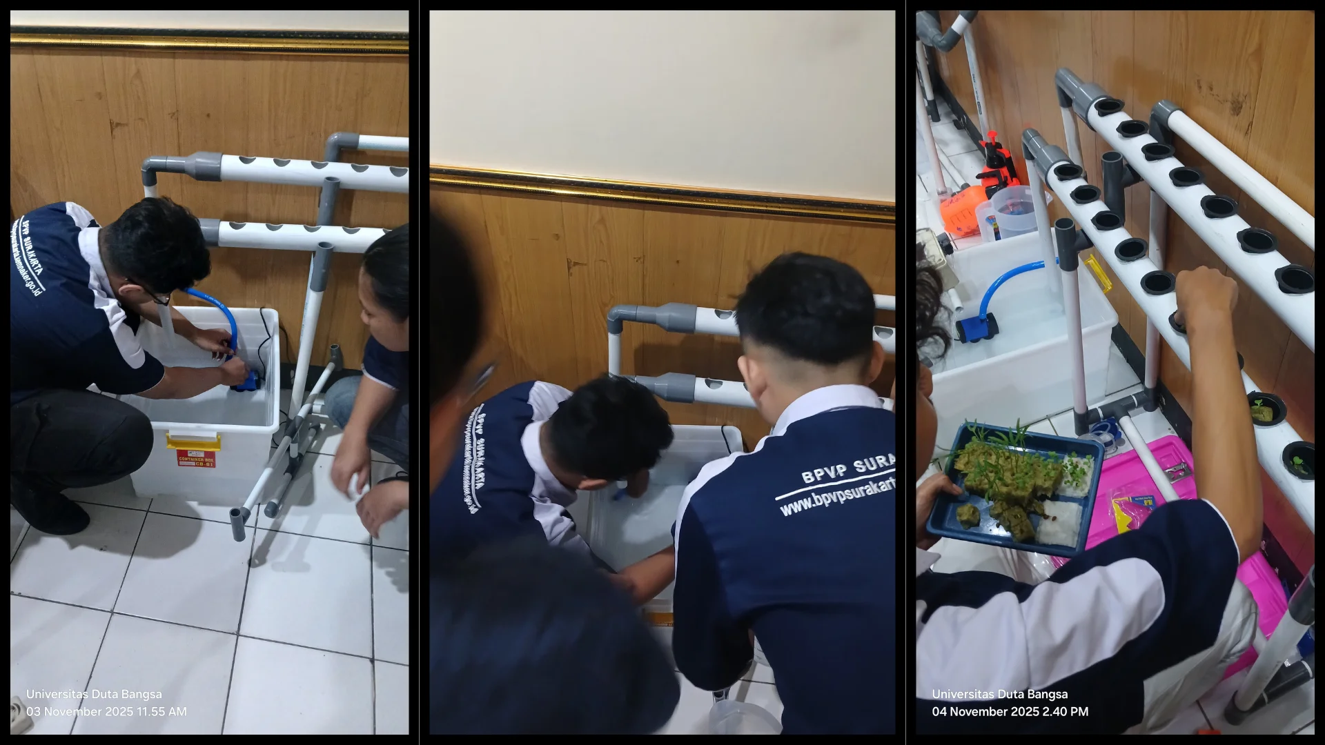 Instalasi Hidroponik