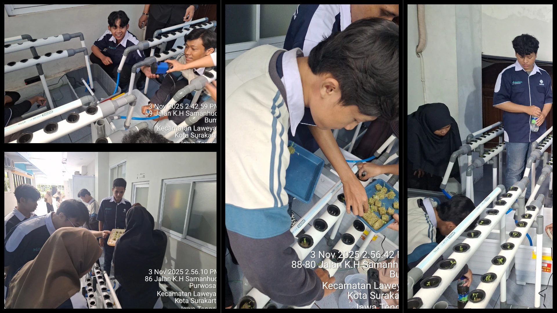 Instalasi Hidroponik